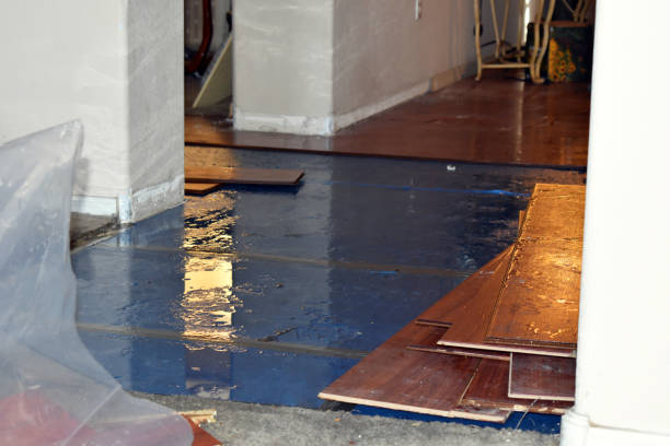 Professional Burst Pipe Cleanup technician working in Houlton, WI